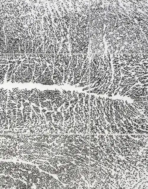 Giuseppe Penone : [exposition, Grenoble, Musée de Grenoble, 22 novembre 2014-22 février 2015]