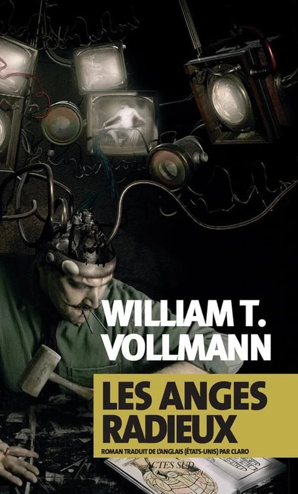 Les anges radieux : roman