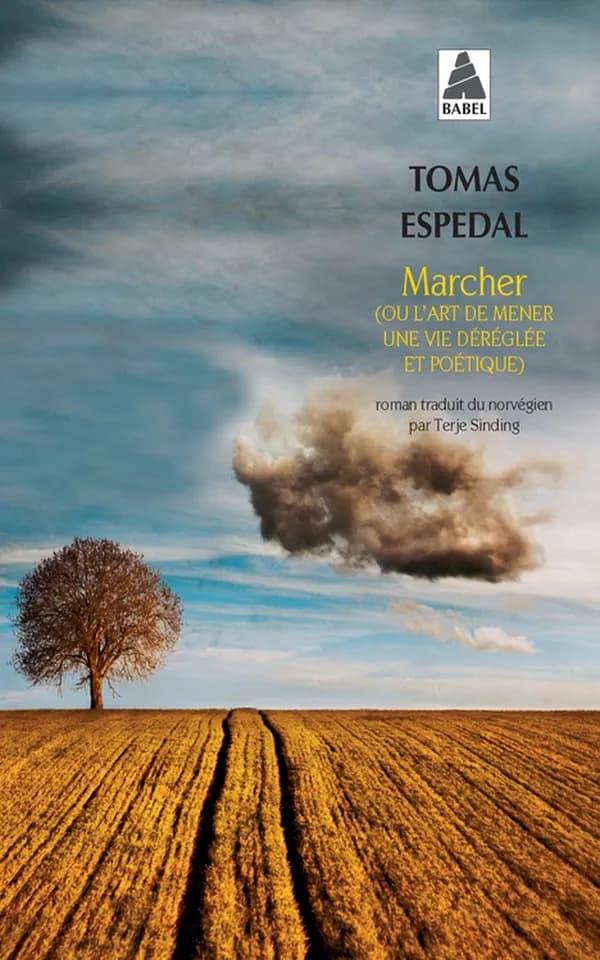 Marcher : Ou l'art de mener une vie déréglée et poétique