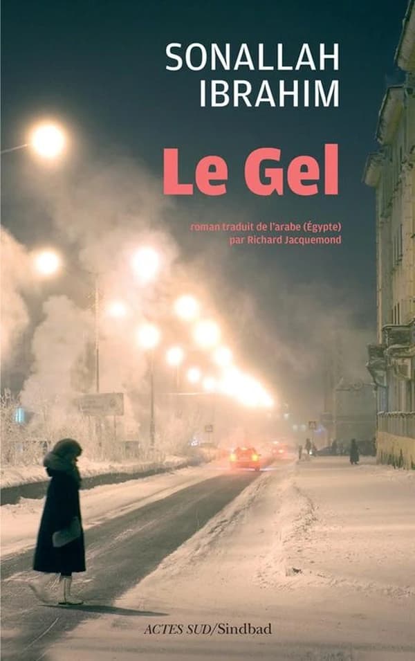 Le gel : roman