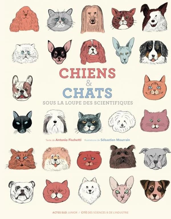 Chiens & chats : sous la loupe des scientifiques