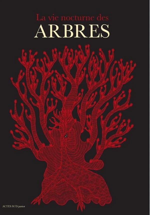 La vie nocturne des arbres