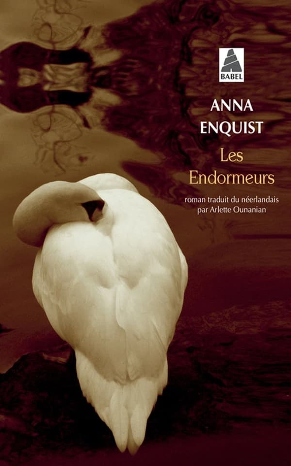 Les endormeurs : roman