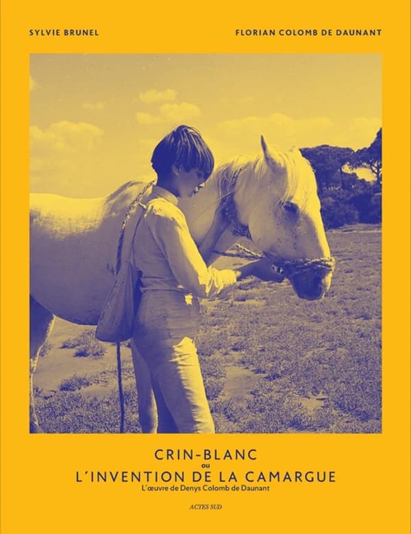 "Crin-Blanc" ou L'invention de la Camargue : l'oeuvre de Denys Colomb de Daunant
