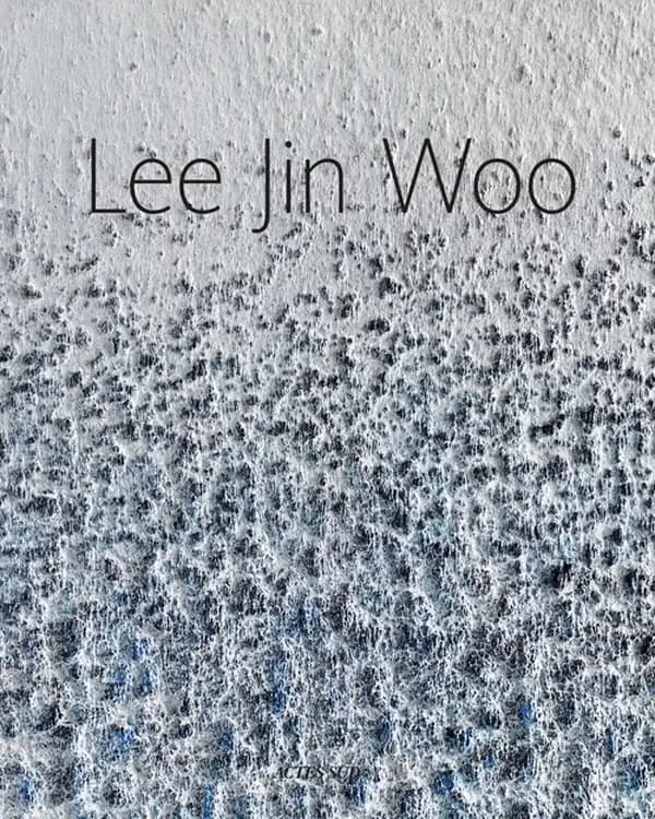 Lee Jin Woo