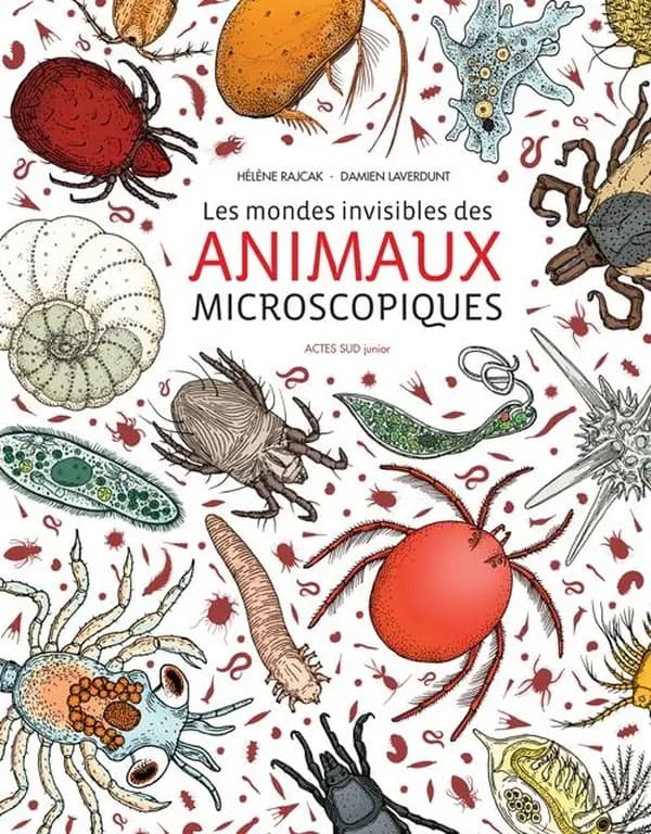 Les mondes invisible des animaux microscopiques