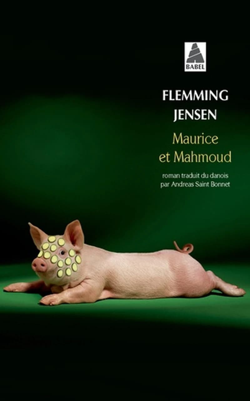 Maurice et Mahmoud : roman