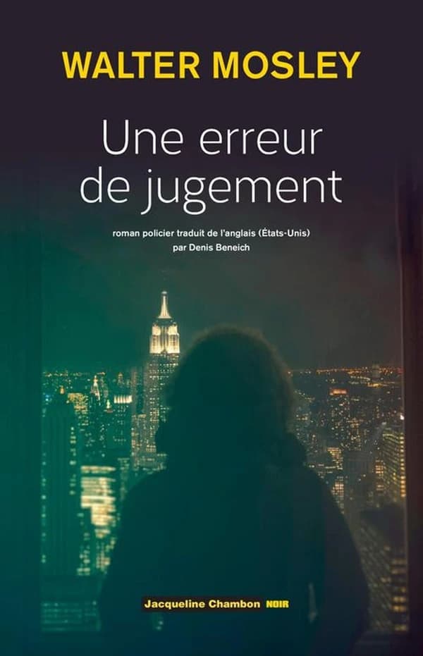 Une erreur de jugement : roman policier
