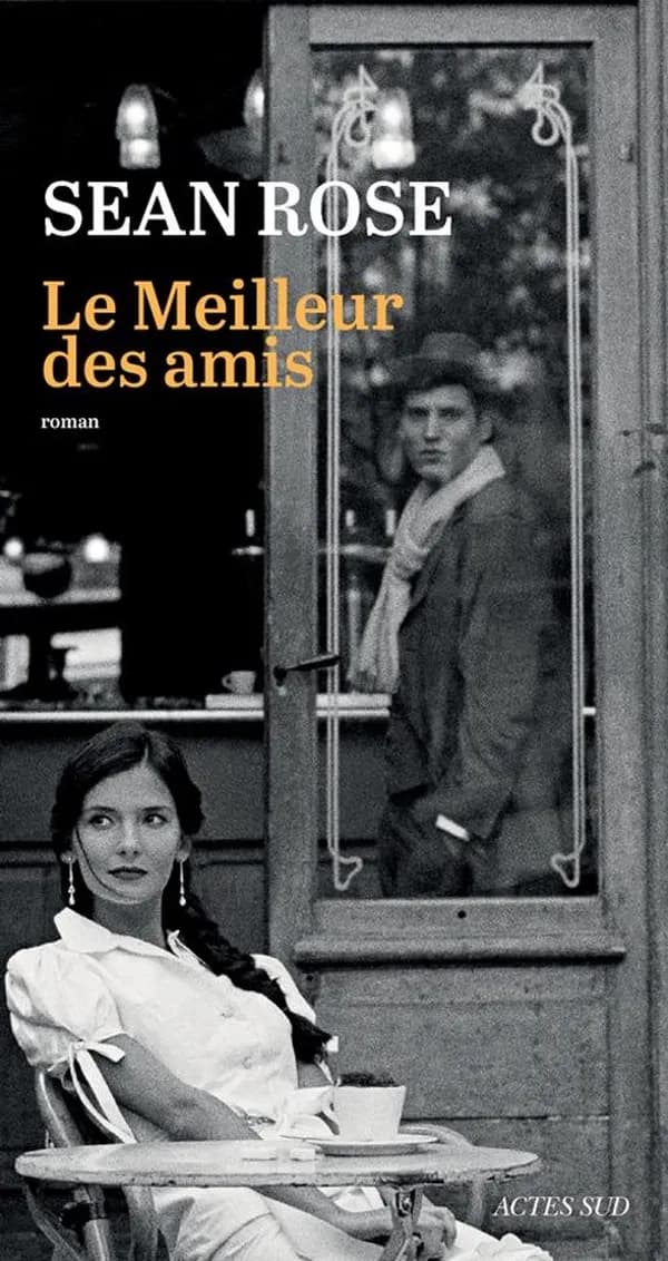 Le meilleur des amis : roman