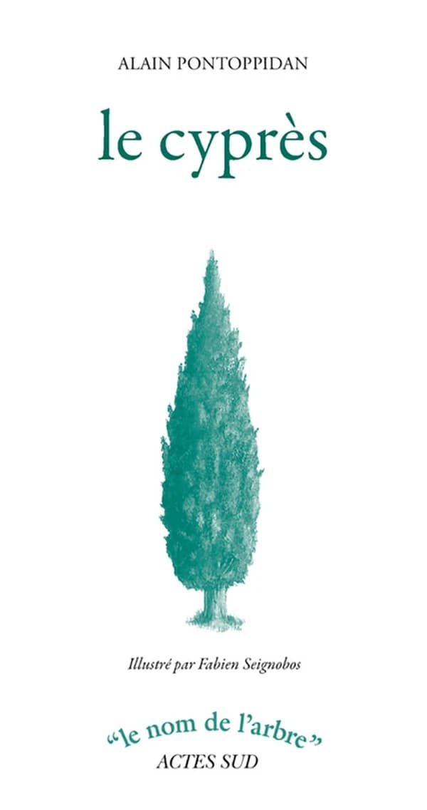 Le cyprès