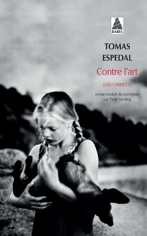 Contre l'art : les carnets : roman