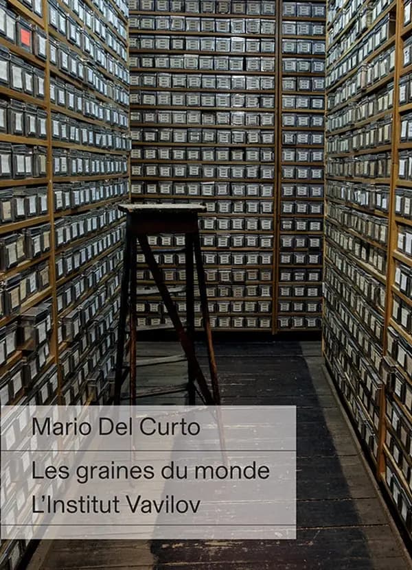 Les graines du monde : l'Institut Vavilov