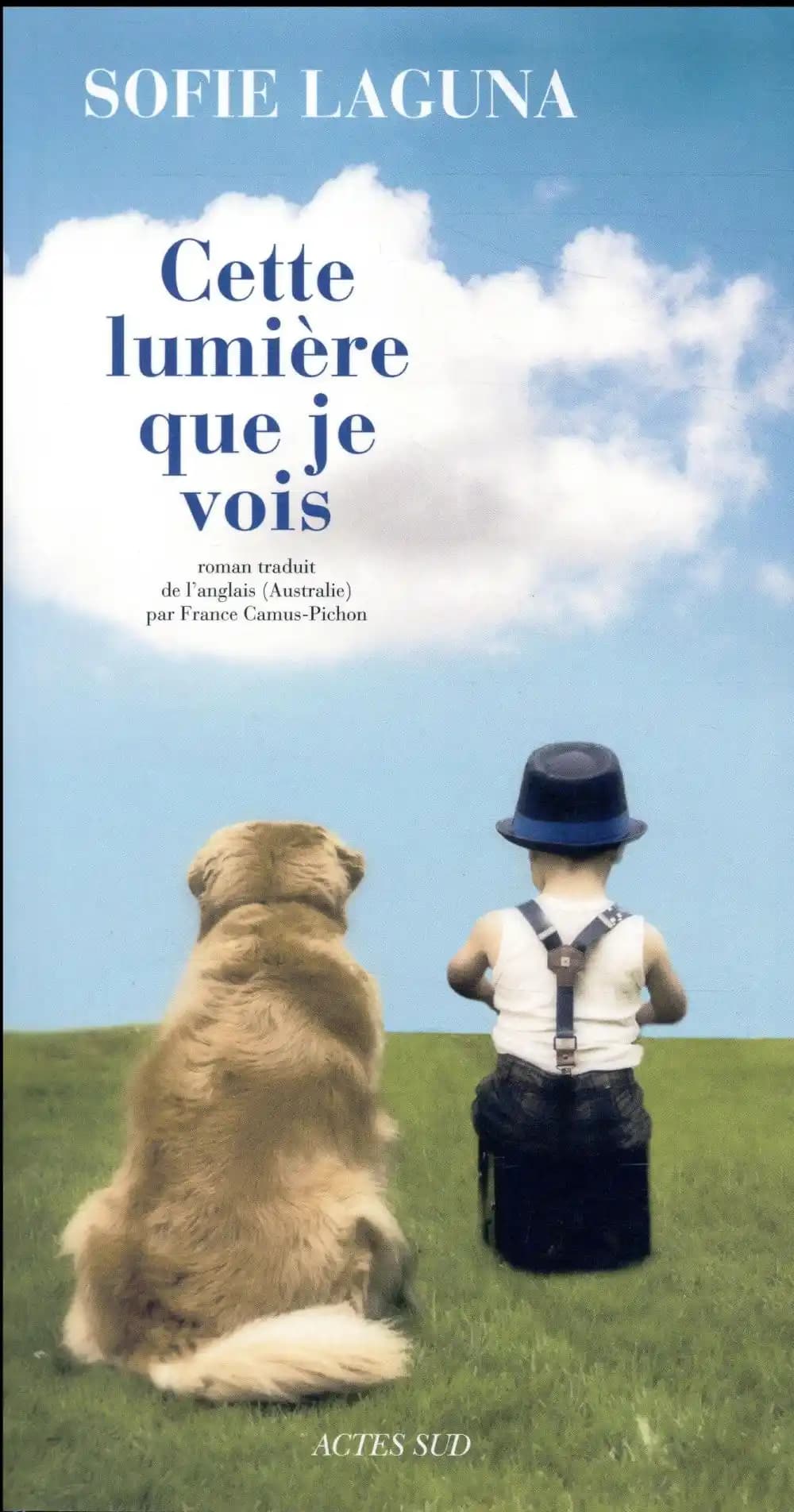 Cette lumière que je vois : roman
