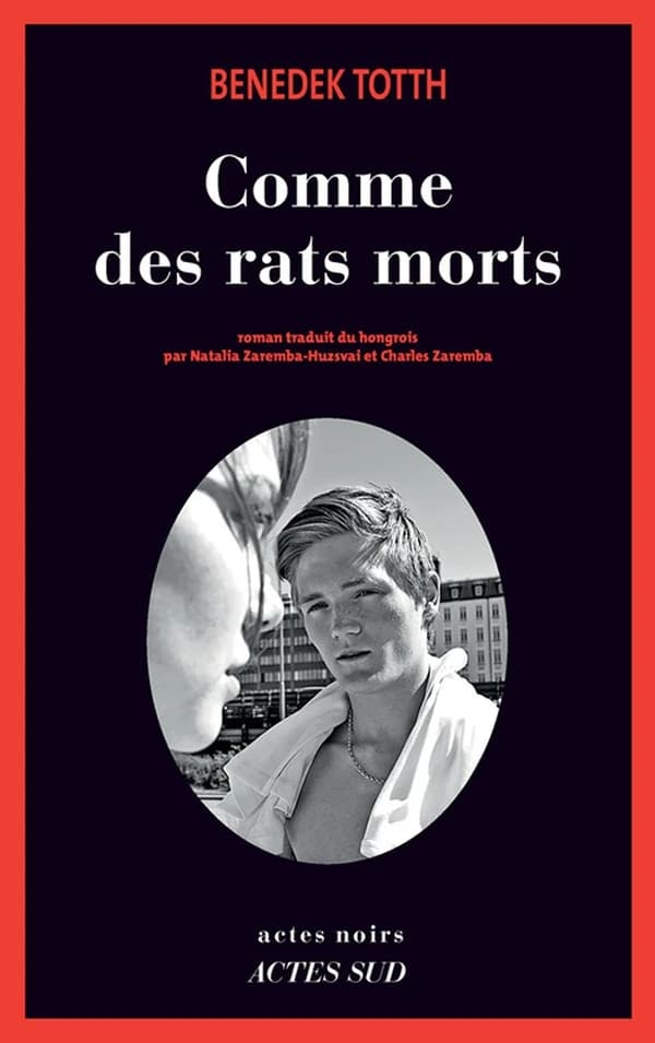 Comme des rats morts : roman