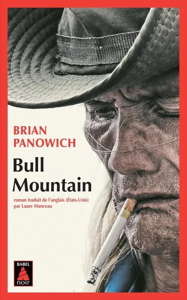 Bull Mountain : roman