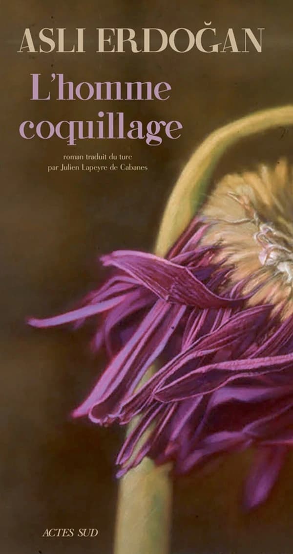 L'homme coquillage : roman