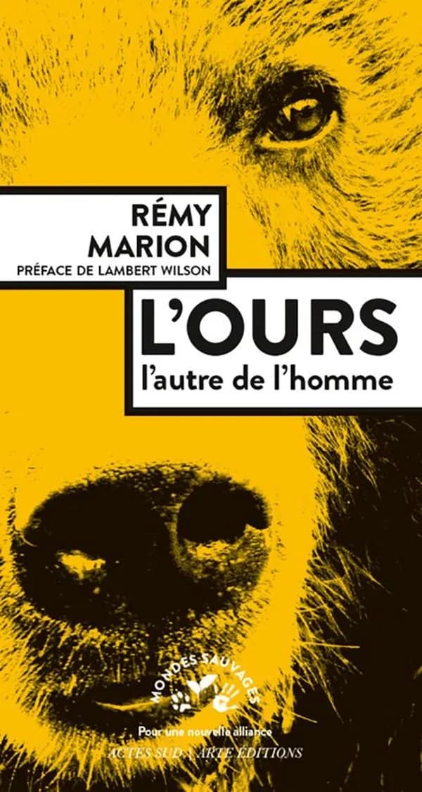 L'ours : l'autre de l'homme
