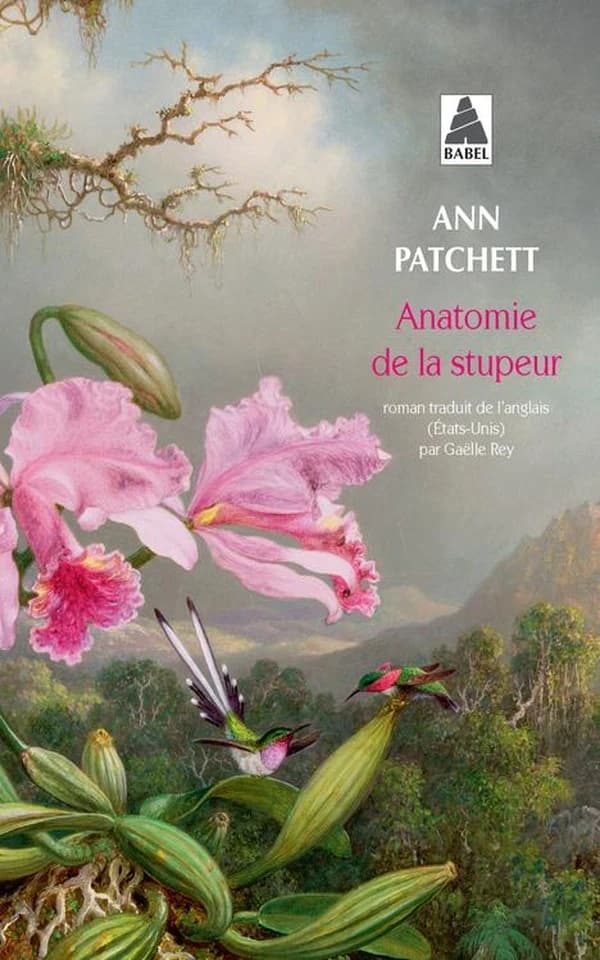 Anatomie de la stupeur : roman
