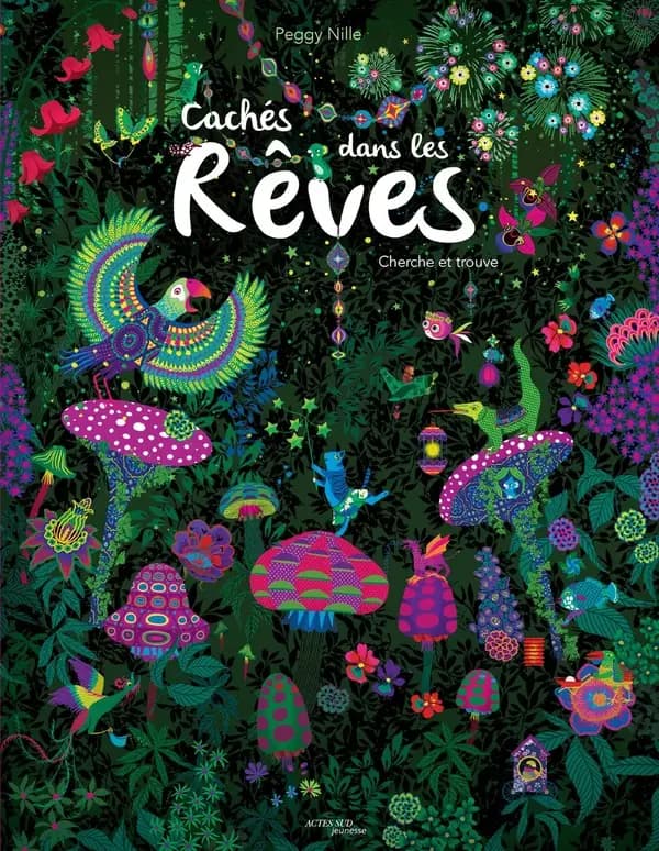 Cachés dans les rêves : Cherche et trouve