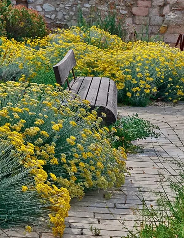 Le jardin des migrations : [un parcours ethnobotanique au Mucem]