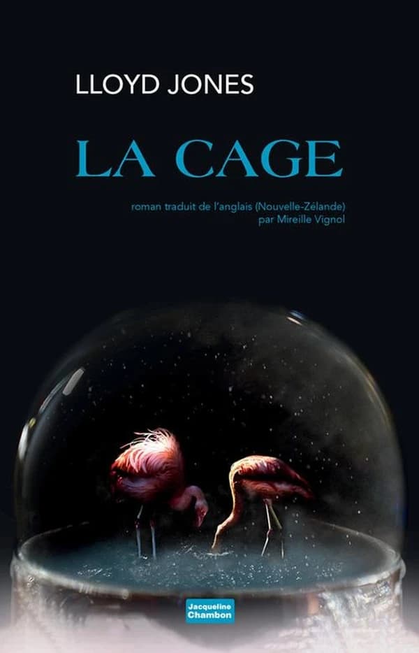 La cage : roman