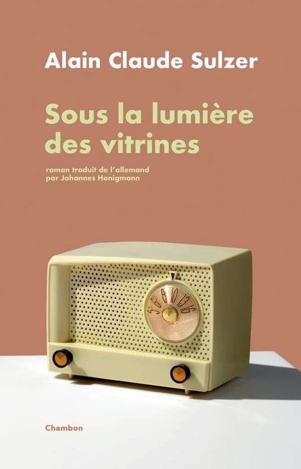 Sous la lumière des vitrines : roman