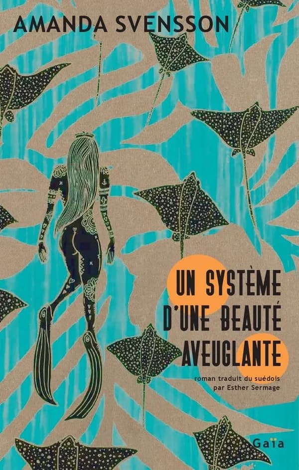 Un système d'une beauté aveuglante : roman