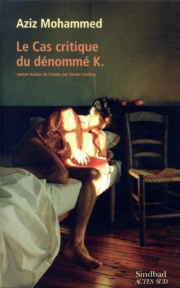 Le cas critique du dénommé K. : roman
