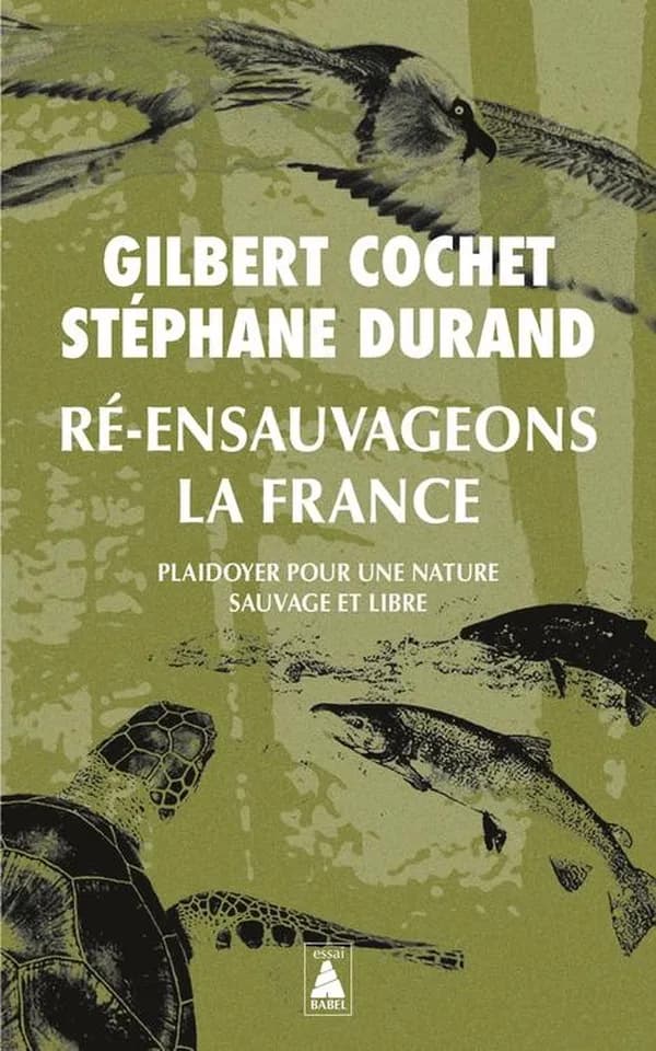 Ré-ensauvageons la France : plaidoyer pour une nature sauvage et libre