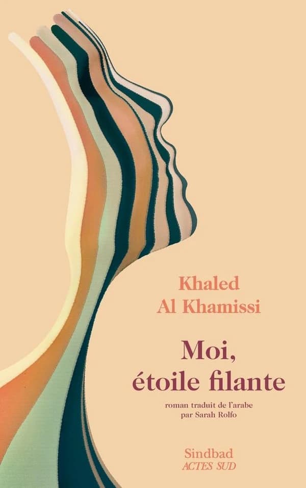 Moi, étoile filante : roman
