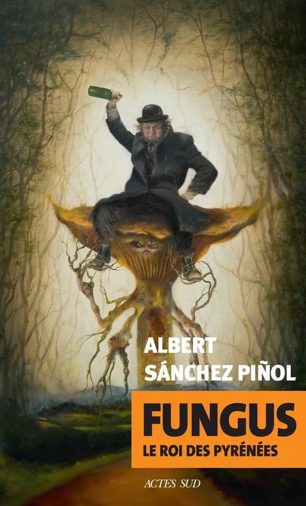 Fungus : le roi des Pyrénées : roman