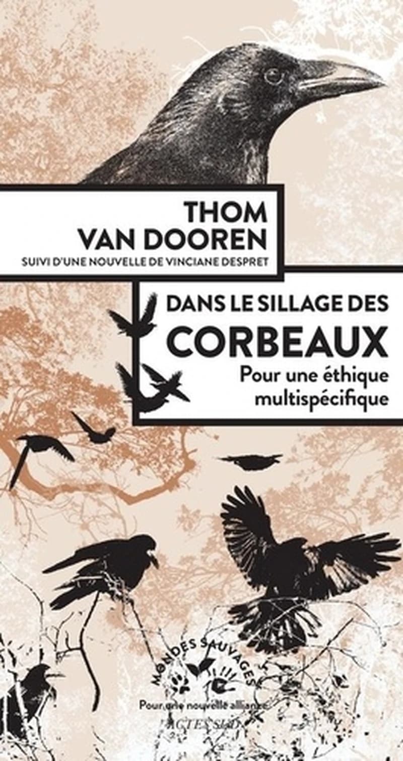 Dans le sillage des corbeaux : pour une éthique multispécifique