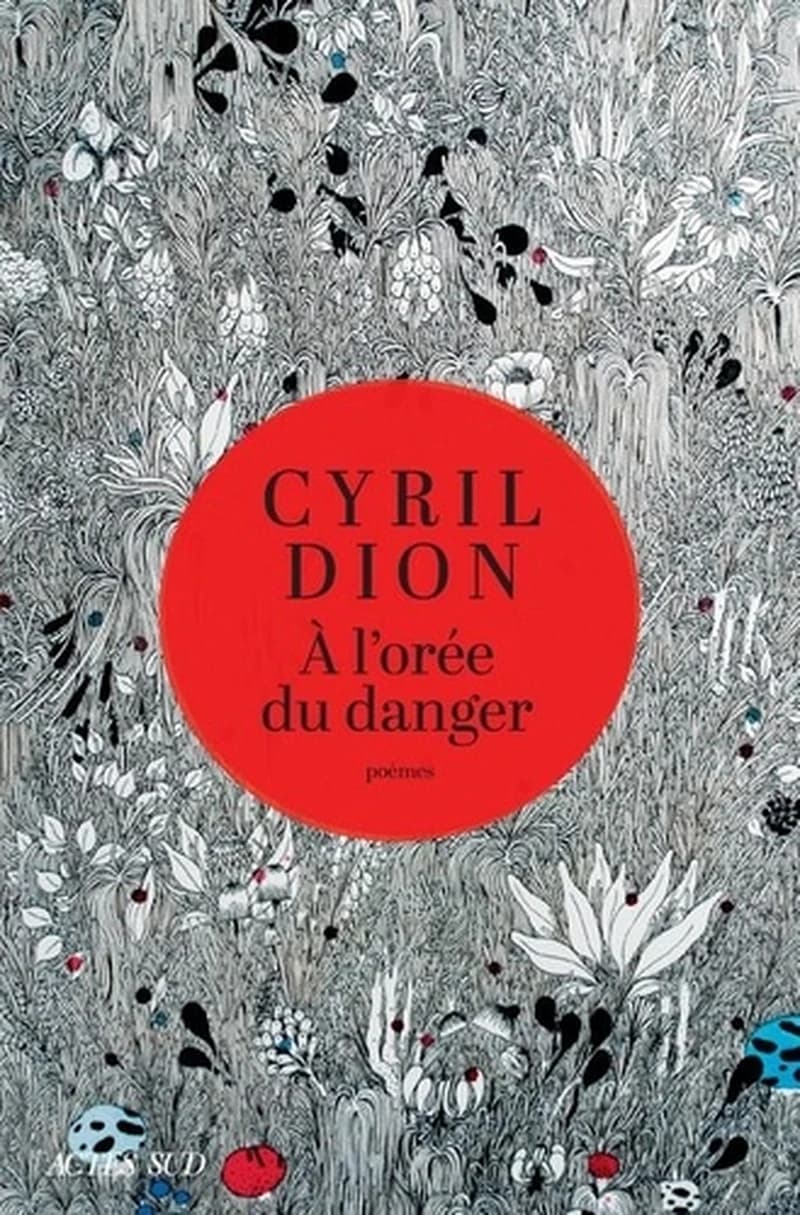 À l'orée du danger : poèmes
