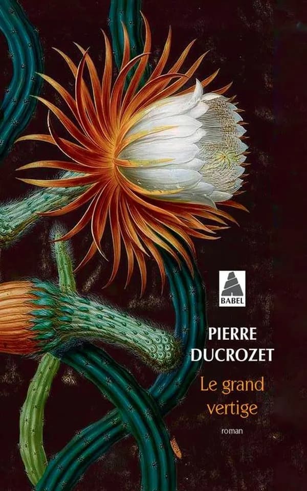 Le grand vertige : roman