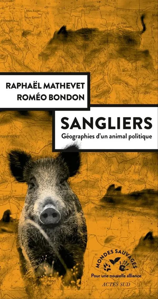 Sangliers : Géographies d'un animal politique