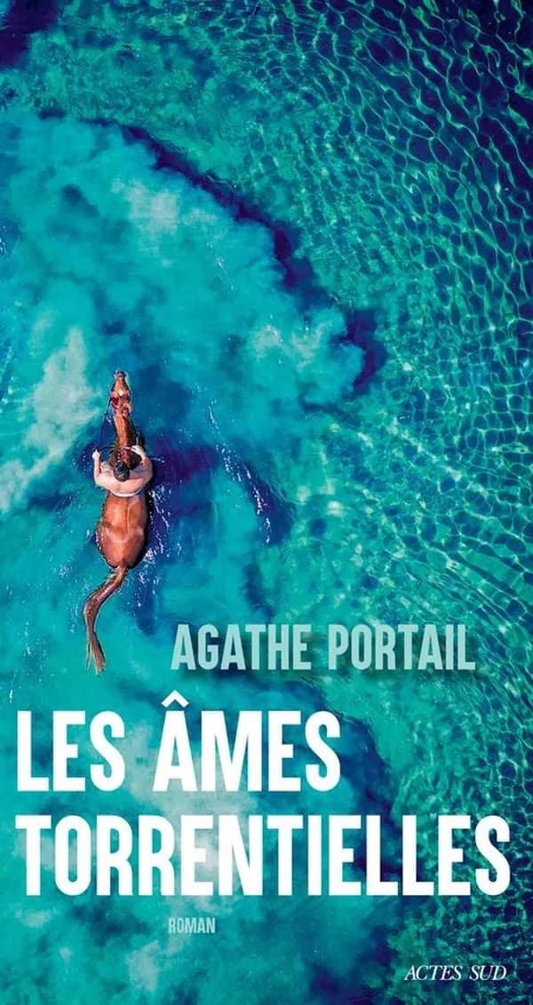 Les âmes torrentielles : roman
