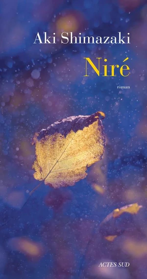 Niré : une clochette sans battant