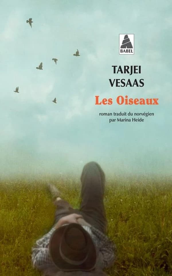LesOiseaux