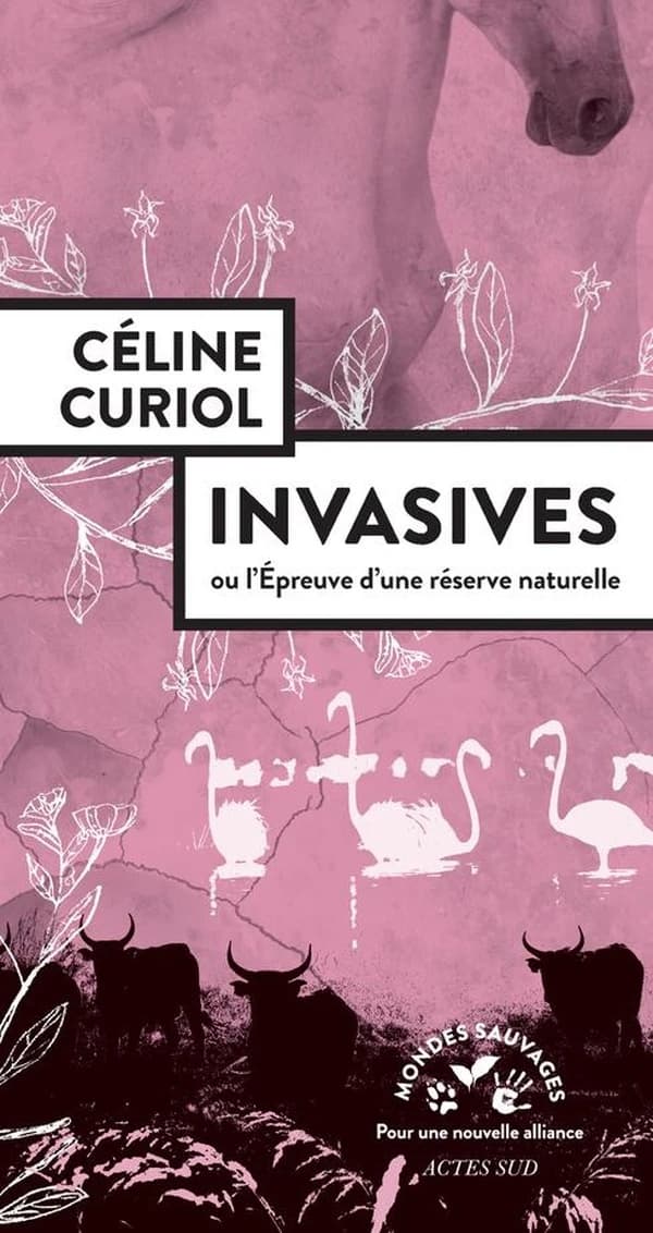 Invasives : ou l'épreuve d'une réserve naturelle