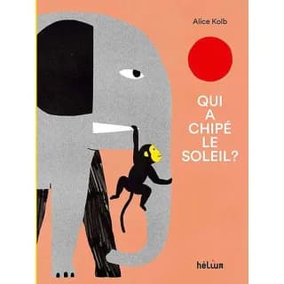 Qui a chipé le soleil ? par Alice Kolb - LivreZone Maroc