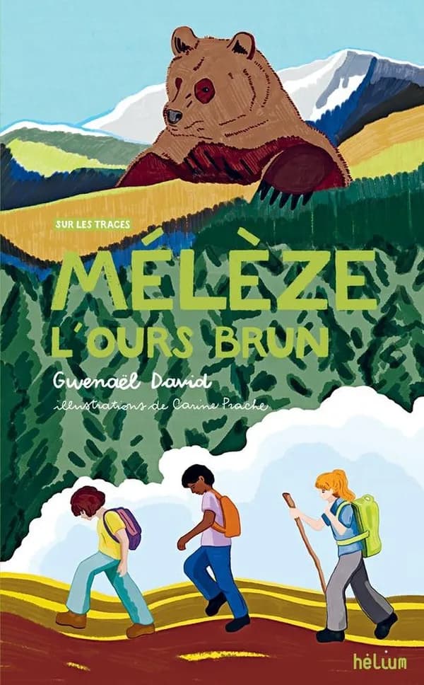 Mélèze l'ours brun