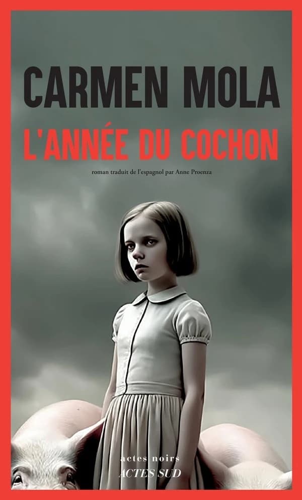 L'année du cochon : roman