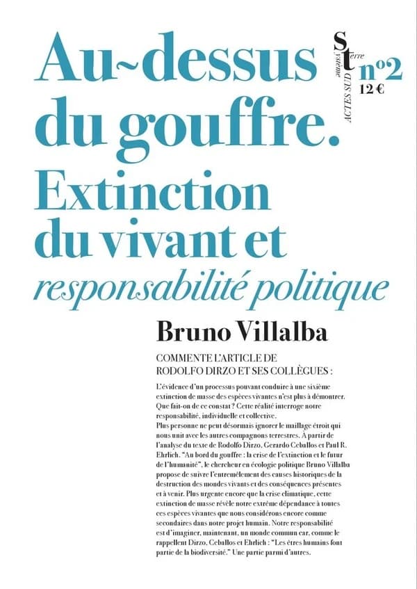Au-dessus du gouffre : Extinction du vivant et responsabilité politique