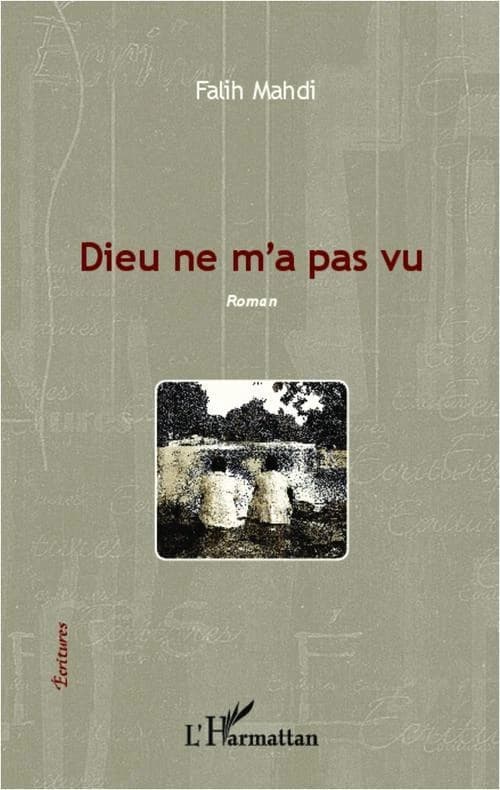 Dieu ne m'a pas vu : roman