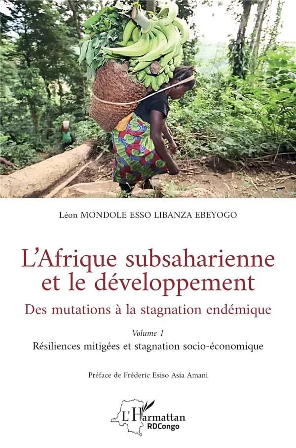 L'Afrique subsaharienne et le développement : des mutations à la stagnation endémique. Volume 1, Résiliences mitigées et stagnation socio-économique