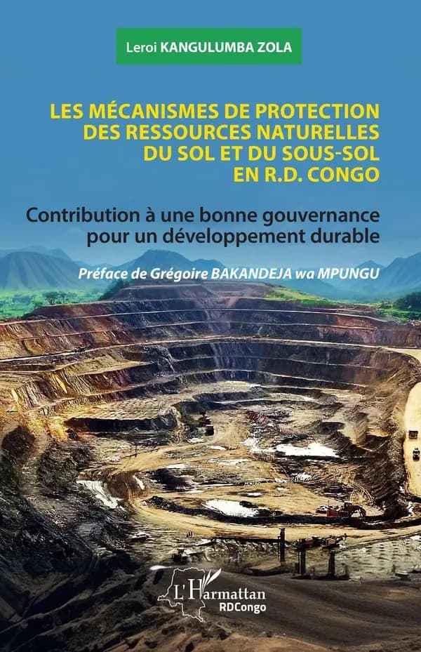 Les mécanismes de protection des ressources naturelles du sol et du sous-sol en R. D. Congo : contribution à une bonne gouvernance pour un développement durable