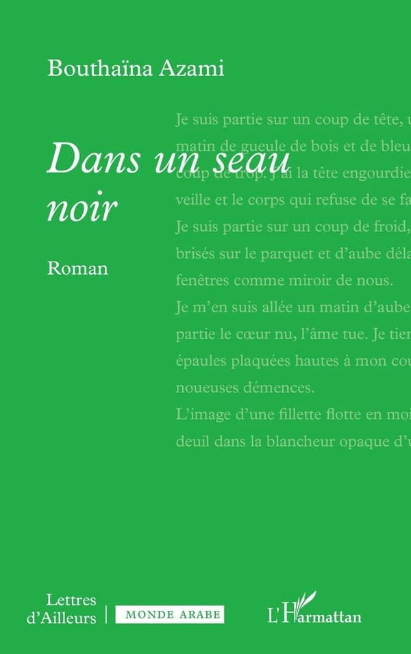 Dans un seau noir : roman