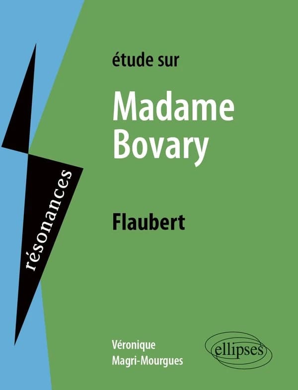 Étude sur Flaubert, "Madame Bovary"