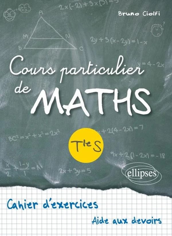 Cours particulier de maths : Tle S