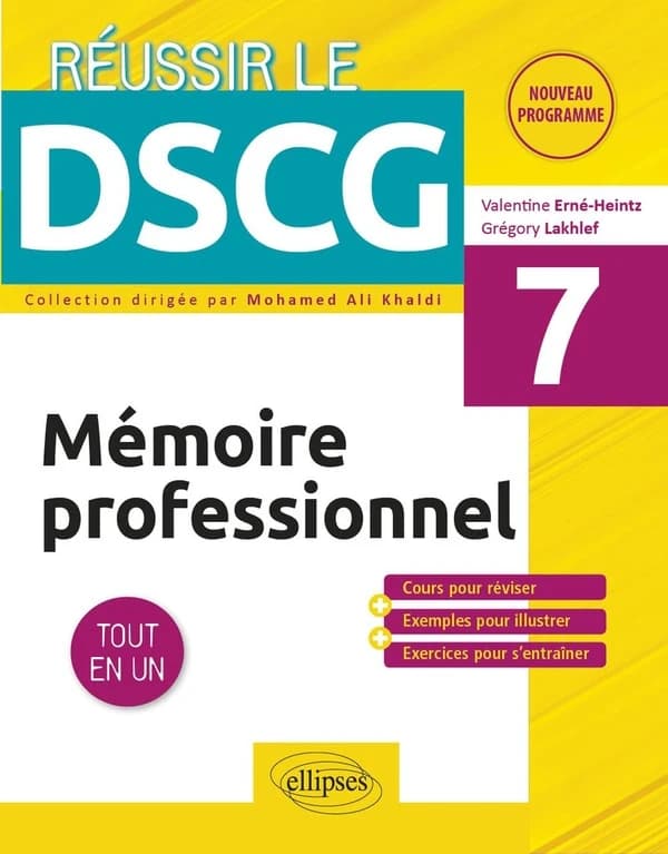 Mémoire professionnel